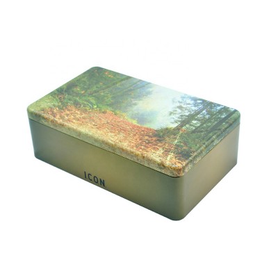 Wholesale cheap price malaysia custom cookies container box